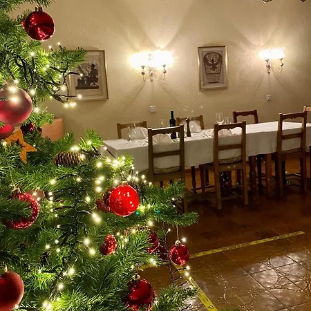 Regina Terme 酒店 洛伊克巴德