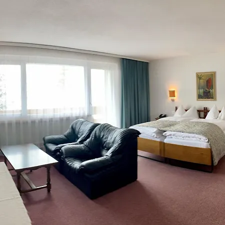 酒店 Regina Terme 3*