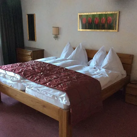 Ξενοδοχείο Regina Terme 3*