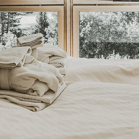 Regina Terme 酒店 洛伊克巴德