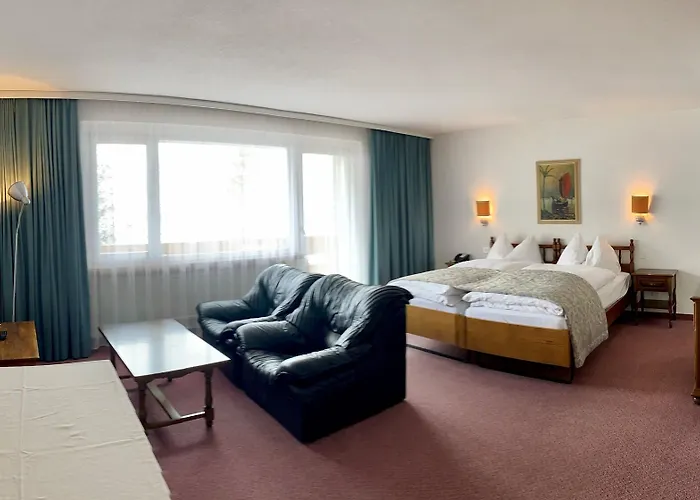 酒店 Regina Terme 3*