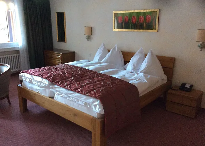 酒店 Regina Terme 3*