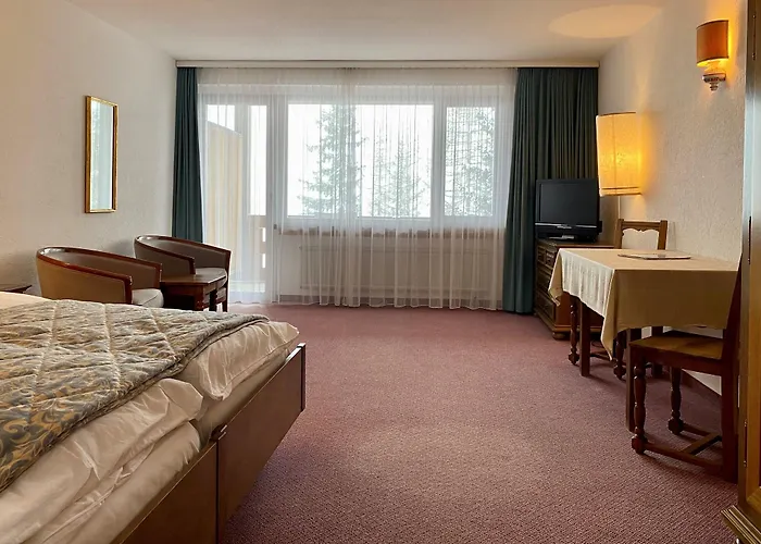 酒店 Regina Terme 3*