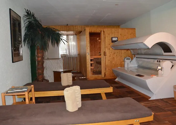 酒店 Regina Terme 3*