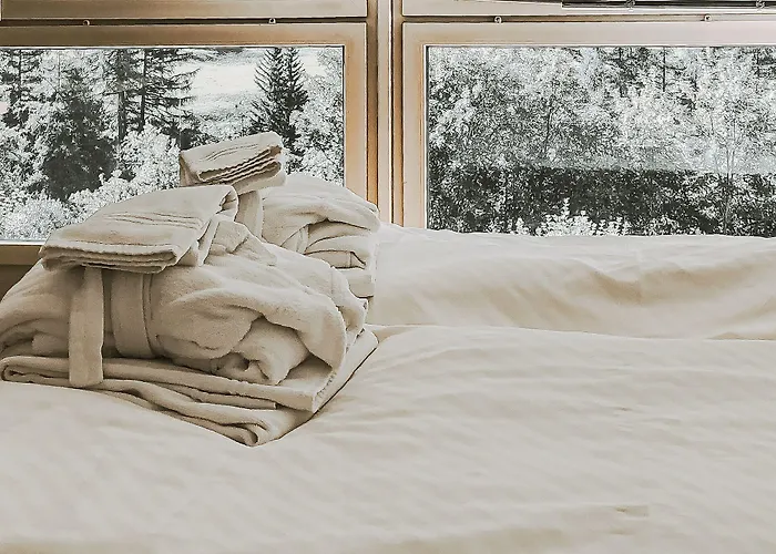 Regina Terme 酒店 洛伊克巴德