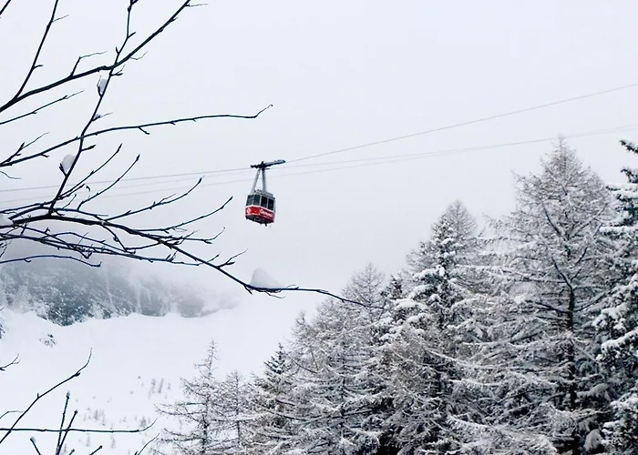 Regina Terme 洛伊克巴德