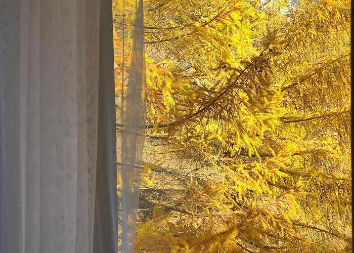 Regina Terme 洛伊克巴德