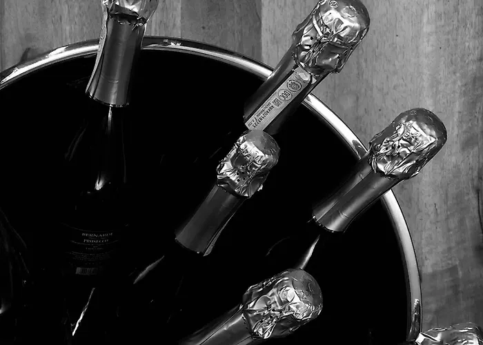 酒店 Regina Terme 3*